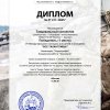Достижения