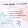 Достижения
