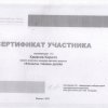 Достижения