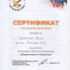 Достижения