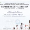 Достижения
