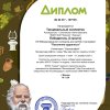 Достижения