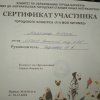 Достижения