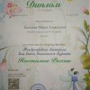Достижения