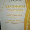 Достижения