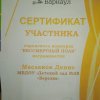 Достижения