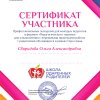 Достижения